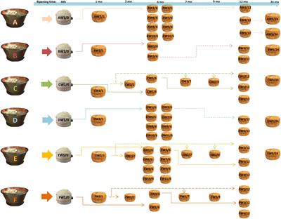 Peptide profile of Parmigiano Reggiano cheese after simulated gastrointestinal digestion: From quality drivers to functional compounds